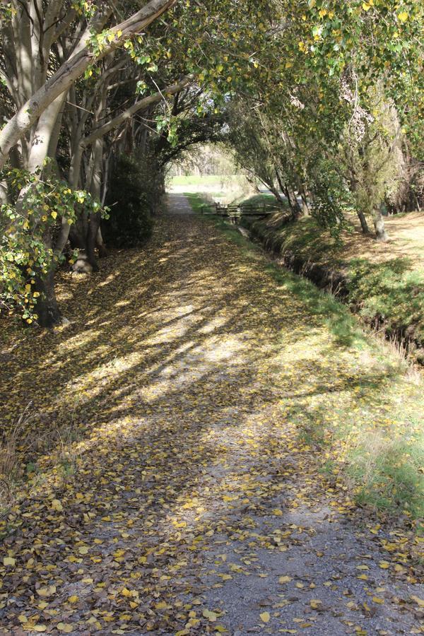 Refreshstay Palmerston North Esterno foto